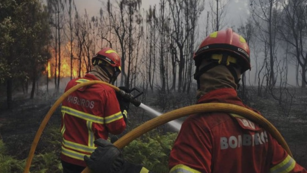  Fire Recovery Funding Portugal