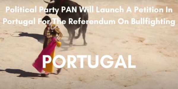 PAN launch petition on bullfighting