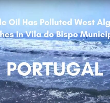 Crude oil pollutes beaches Algarve