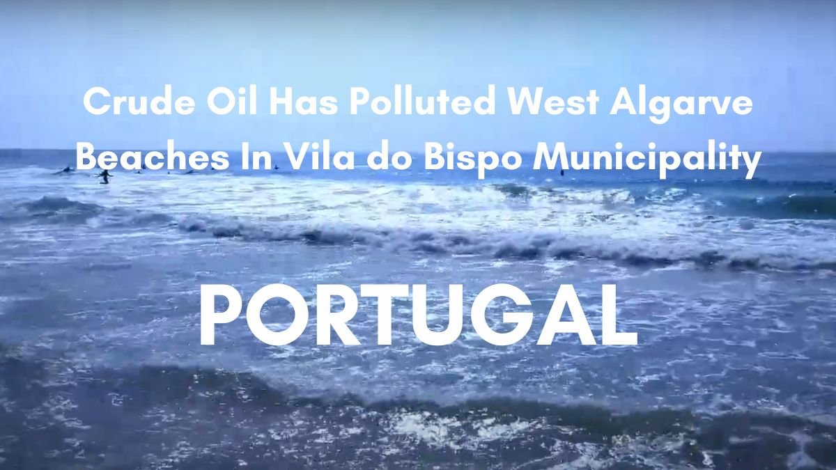 Crude oil pollutes beaches Algarve