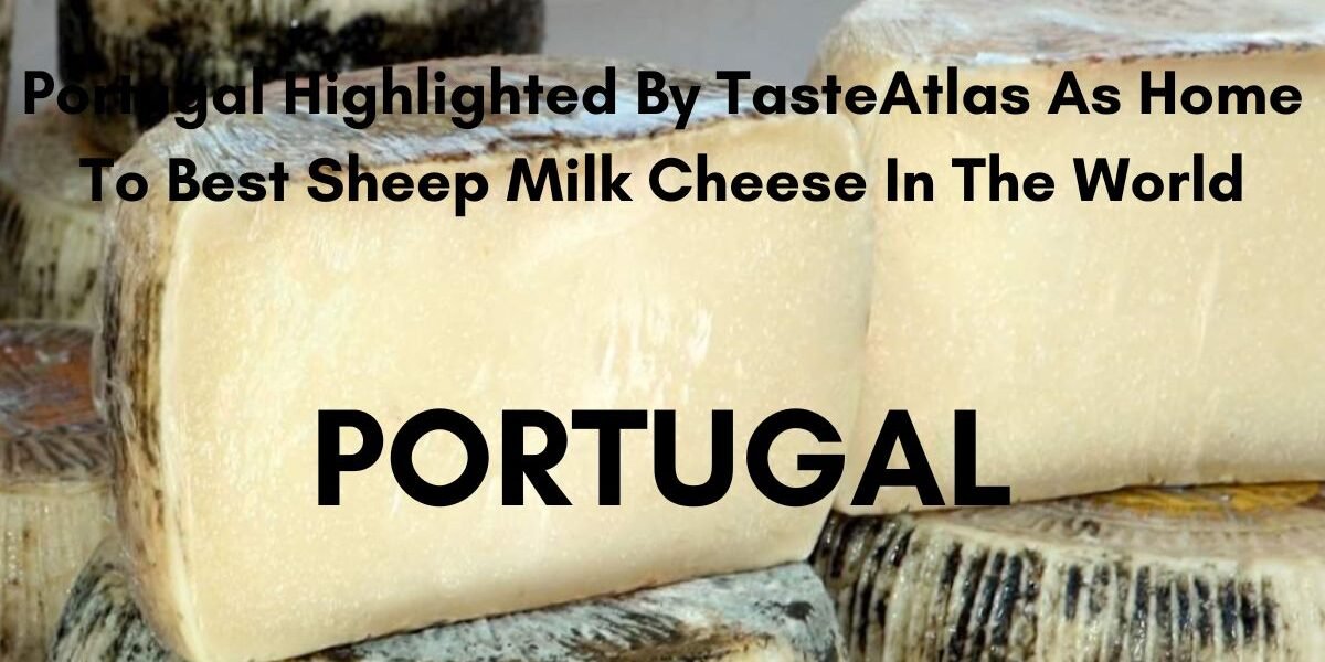 Portugal Best Sheep Milk Cheese