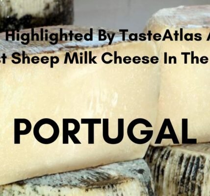 Portugal Best Sheep Milk Cheese