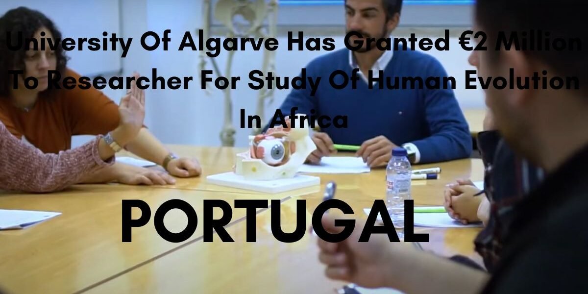 University of Algarve research