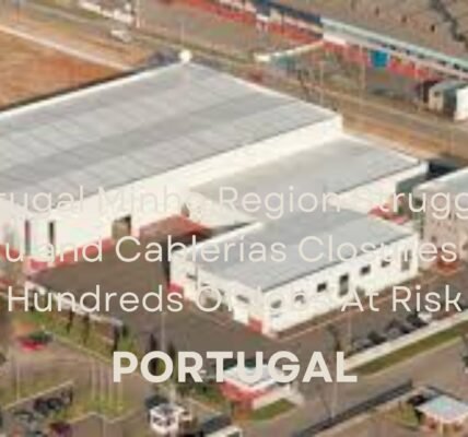 Portugal Minho Automobile Industry Struggles