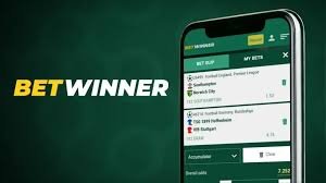 Betwinner The Ultimate Betting Experience