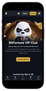 Bitfortune Support for Casual Players Your Guide to a Seamless Experience