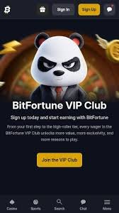 Exciting New Releases at Bitfortune Casino Discover the Latest Games
