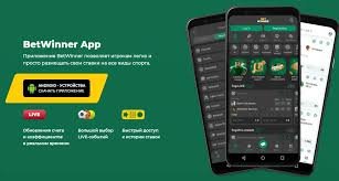 BetWinner in Egypt Your Ultimate Betting Experience
