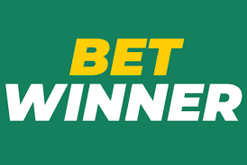 The Ultimate Guide to BetWinner Your Go-To Sports Betting Platform