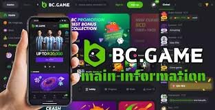 Understanding BC.Game Payments A Comprehensive Guide 619667770