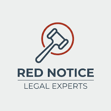 Understanding the Role of Interpol Lawyers